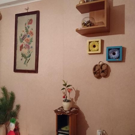 Comfortable Isolated Turnkey Room Near The Subway And The International Exhibition Center キエフ エクステリア 写真